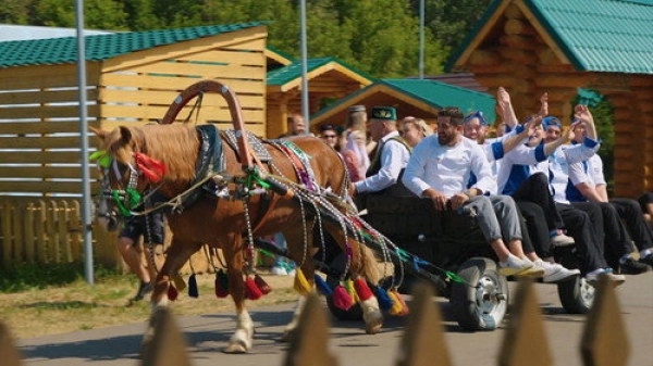 Адский шеф — 2 сезон 12 серия